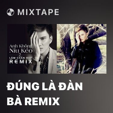 Mixtape Đúng Là Đàn Bà Remix - Various Artists