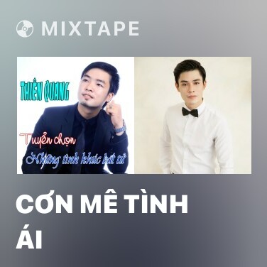 Mixtape Cơn Mê Tình Ái - Various Artists