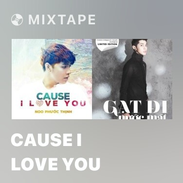 Mixtape Cause I Love You - Various Artists
