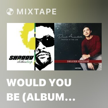 Mixtape Would You Be (Album Version)