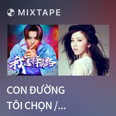 Mixtape Con Đường Tôi Chọn / 我选择的路 - Various Artists