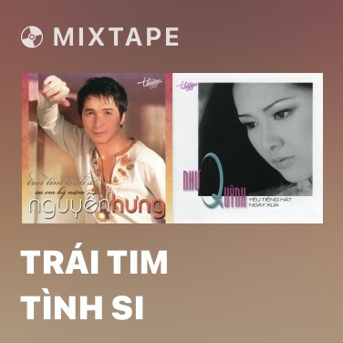 Mixtape Trái Tim Tình Si - Various Artists