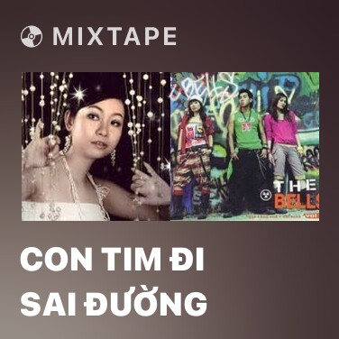 Mixtape Con Tim Đi Sai Đường - Various Artists