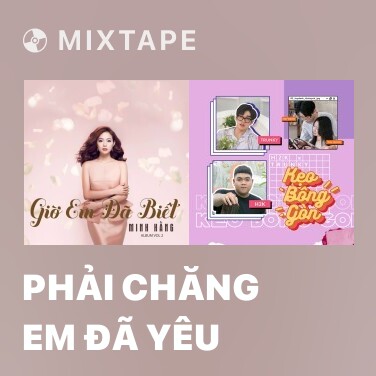 Mixtape Phải Chăng Em Đã Yêu - Various Artists