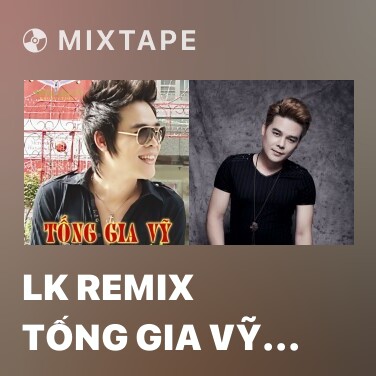 Mixtape LK Remix Tống Gia Vỹ 2011 - Various Artists