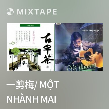 Mixtape 一剪梅/ Một Nhành Mai - Various Artists