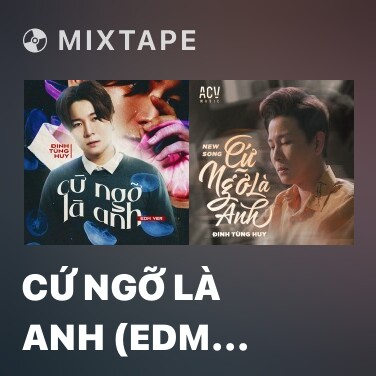 Mixtape Cứ Ngỡ Là Anh (EDM Version) - Various Artists
