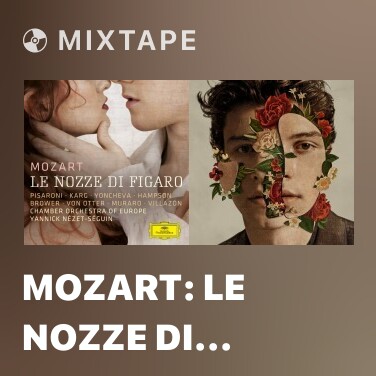 Mixtape Mozart: Le nozze di Figaro, K.492 / Act 1 - Recitativo: “Evviva!” … “E voi non applaudite?” - 