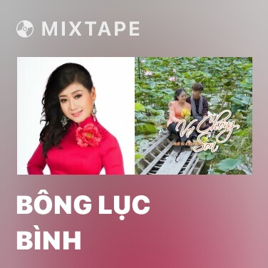 Mixtape Bông Lục Bình - Various Artists