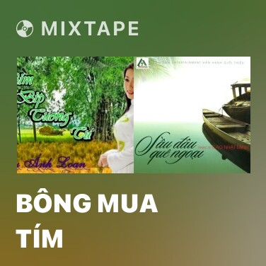 Mixtape Bông Mua Tím - Various Artists
