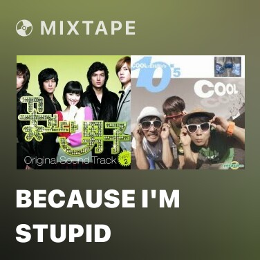 Mixtape Because I'm Stupid