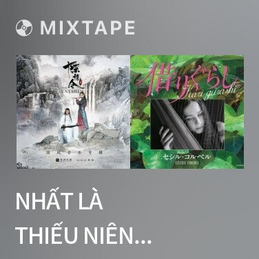 Mixtape Nhất Là Thiếu Niên Không Thể Bắt Nạt / 最是少年不可欺 - Various Artists