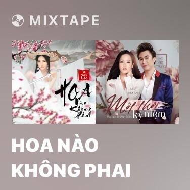 Mixtape Hoa Nào Không Phai - Various Artists