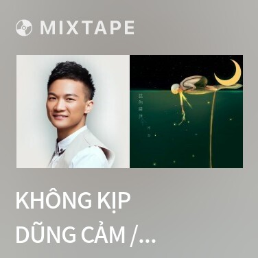 Mixtape Không kịp dũng cảm / 来不及勇敢 - Various Artists