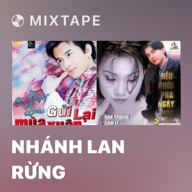 Mixtape Nhánh Lan Rừng - Various Artists