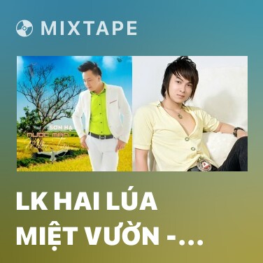 Mixtape LK Hai Lúa Miệt Vườn - Dây Đủng Đỉnh Buồn - Anh Ba Khía - Various Artists