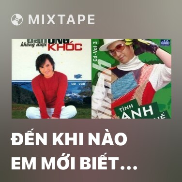 Mixtape Đến Khi Nào Em Mới Biết Anh Yêu Em - Various Artists