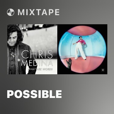 Mixtape Possible - Various Artists