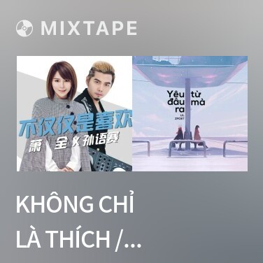 Mixtape Không Chỉ Là Thích / 不仅仅是喜欢 - Various Artists