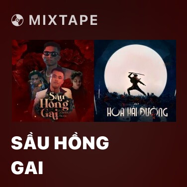 Mixtape Sầu Hồng Gai - Various Artists