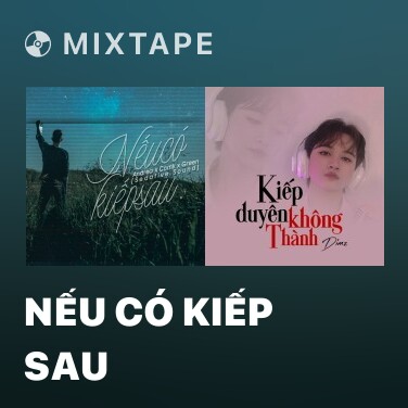 Mixtape Nếu Có Kiếp Sau - Various Artists