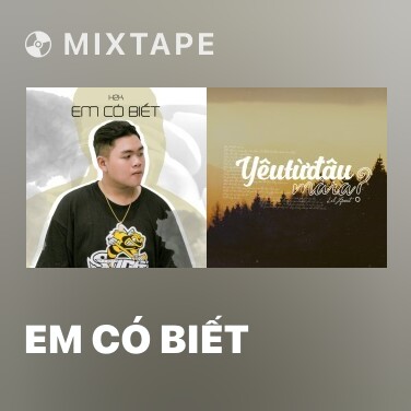 Mixtape Em Có Biết - Various Artists