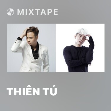 Mixtape Thiên Tú - Various Artists