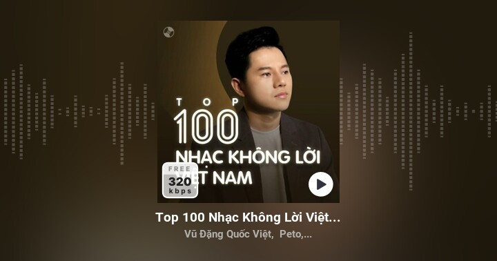 Top 100 Nhạc Không Lời Việt Nam Hay Nhất - Nhiều nghệ sĩ