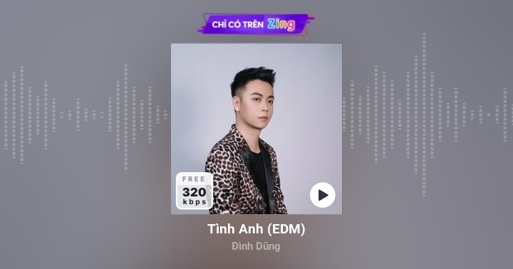 Tình Anh (Edm) - Đình Dũng - Zing Mp3