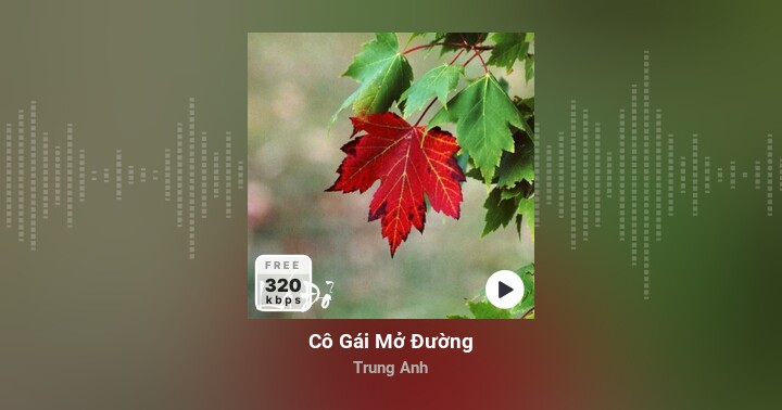 Cô Gái Mở Đường - Trung Anh - Zing MP3
